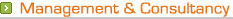Management and Consultancy title
